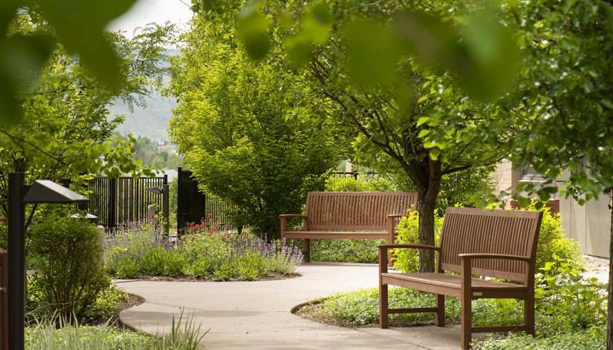 Image of healing garden