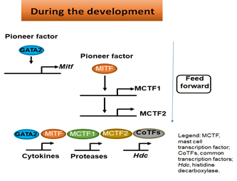 huang lab fig 2