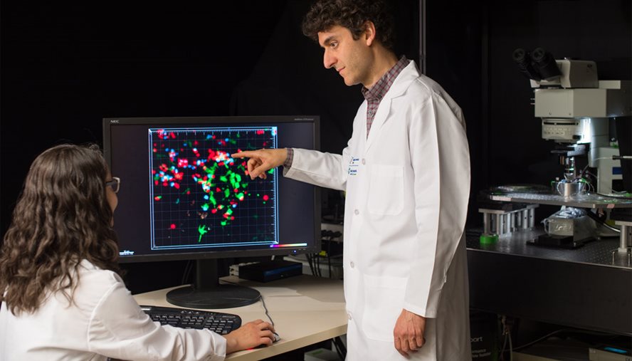 two researchers looking at scan images on a computer screen