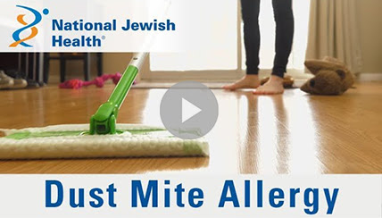 dust mite allergy video