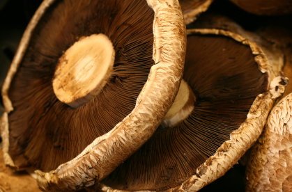 Portabella Mushrooms With Couscous & Greens