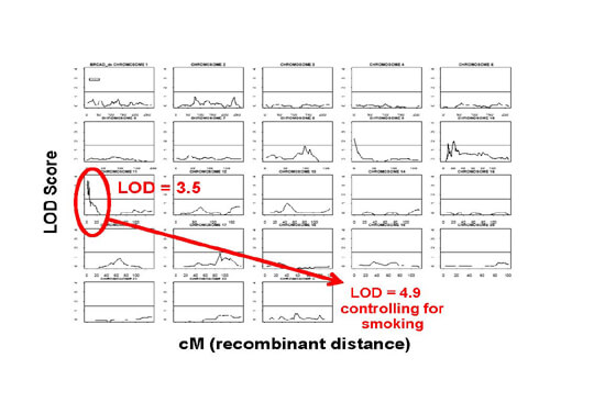 Figure 2. The initial genomic screen in 82 families with FIP identified a region on Chromosome 11 that is linked to the development of pulmonary fibrosis.