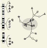 Leach lab figure 2