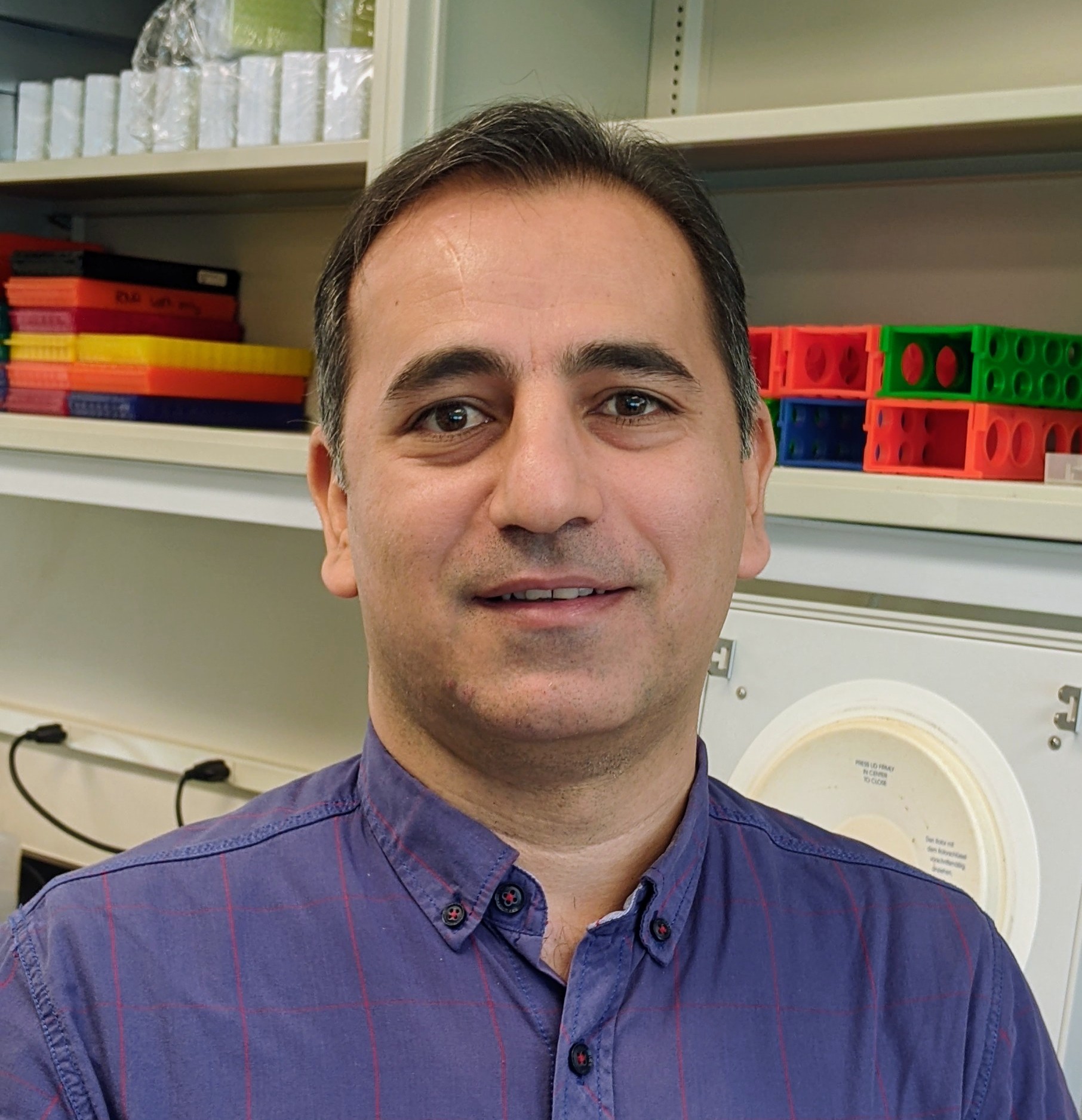 Hamid Reza Nouri, PhD