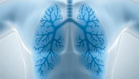 Felt Lab for Pulmonary Research